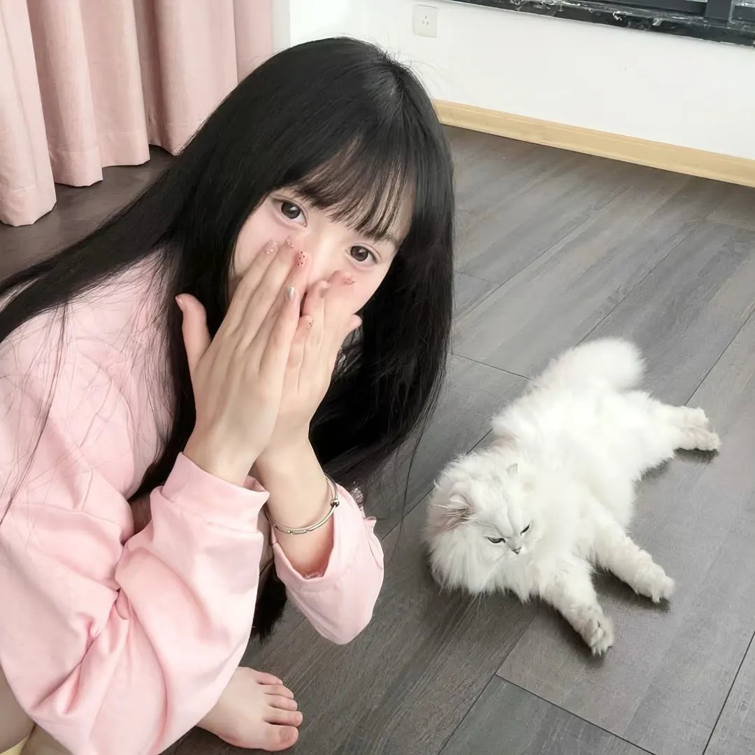 暴龙真相