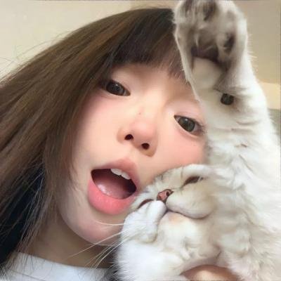 龙虎会